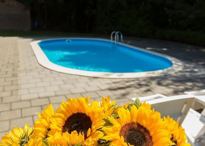 Bed & Breakfast Simplevei Simpelveld