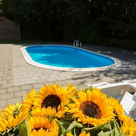 Nocleg ze śniadaniem Simplevei Simpelveld